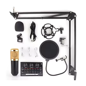 Condenser Microphone