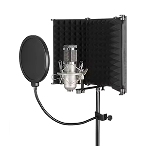 Entertainment and Sports Series